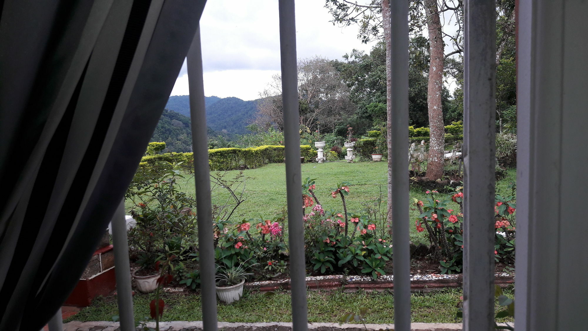 Oyo 441 Kandy Hill Bungalow Extérieur photo